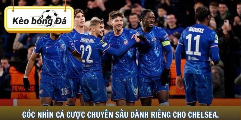 Góc nhìn cá cược chuyên sâu dành riêng cho Chelsea.