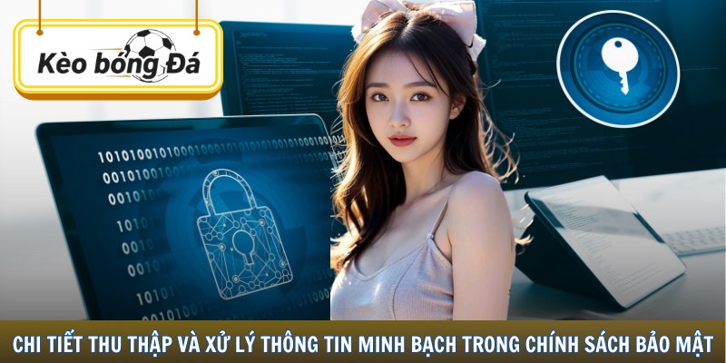 Chi tiết thu thập và xử lý thông tin minh bạch trong chính sách bảo mật