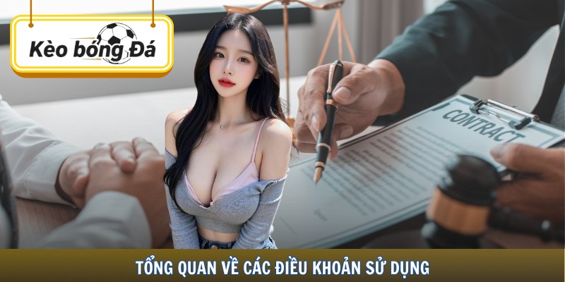 Tổng quan về các điều khoản sử dụng