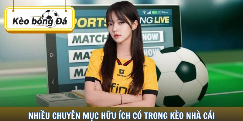 Nhiều chuyên mục hữu ích có trong kèo nhà cái