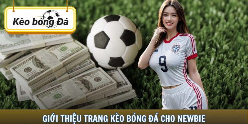 Giới thiệu trang kèo bóng đá cho newbie