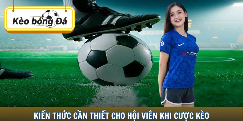 Kiến thức cần thiết cho hội viên khi cược kèo
