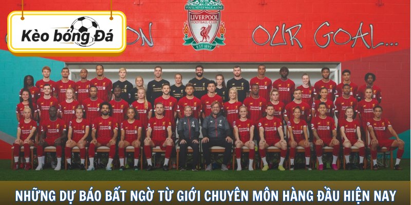 Những dự báo bất ngờ từ giới chuyên môn hàng đầu hiện nay