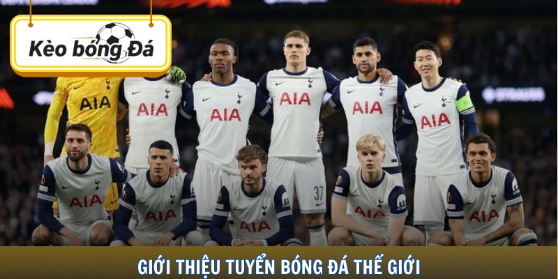 Giới thiệu tuyển bóng đá thế giới