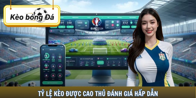 Tỷ lệ kèo được cao thủ đánh giá hấp dẫn